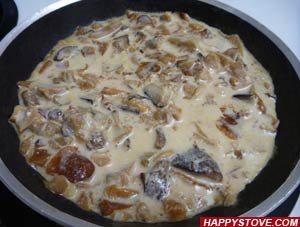 Porcini Mushrooms and Cream Sauce - By happystove.com